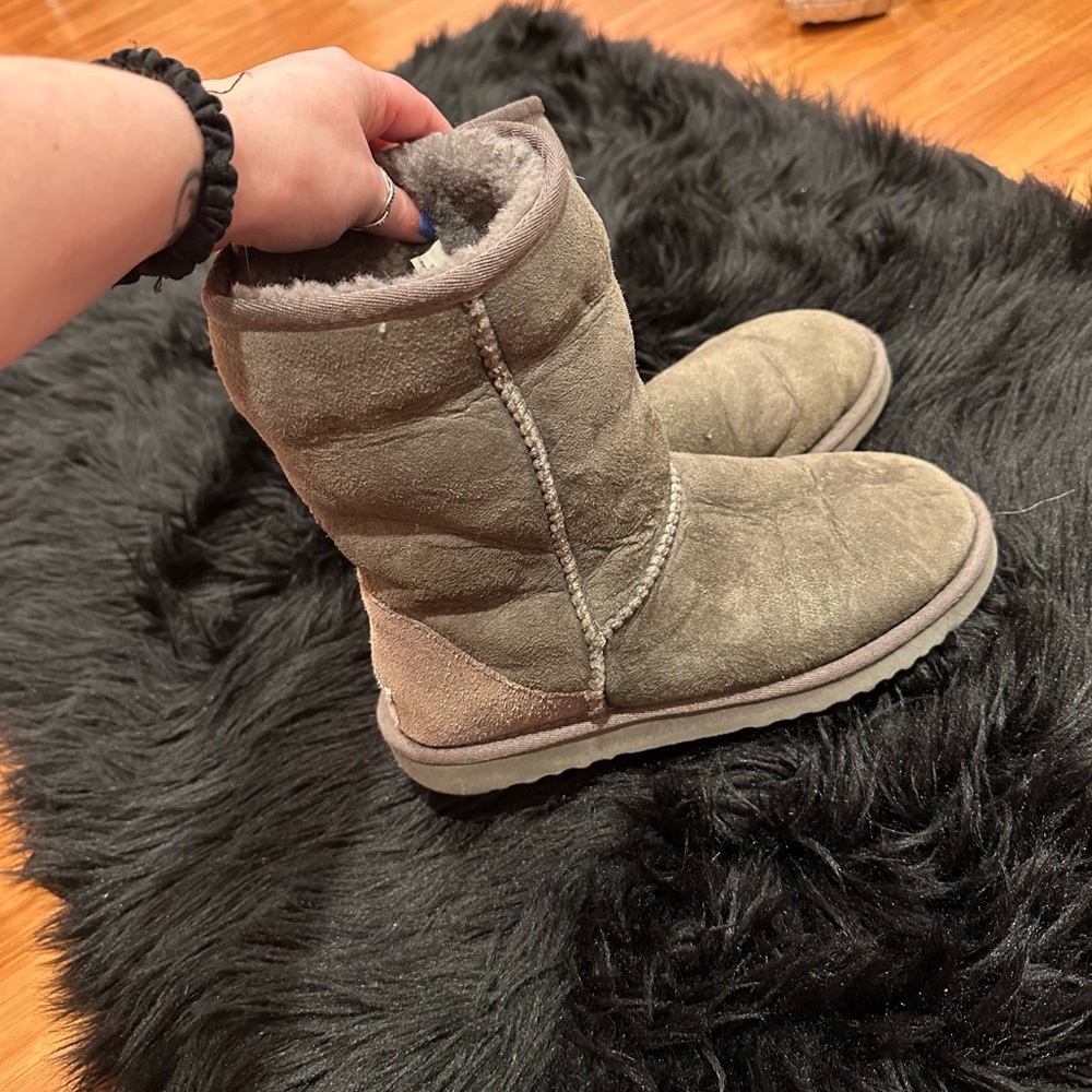 Gray uggs